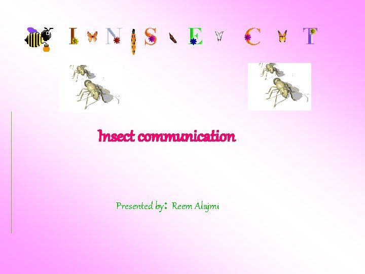 Insect communication Presented by: Reem Alajmi 