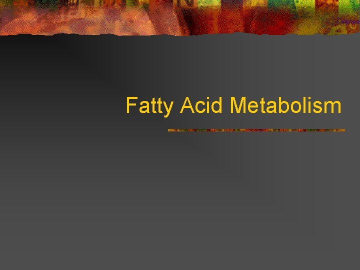 Fatty Acid Metabolism 