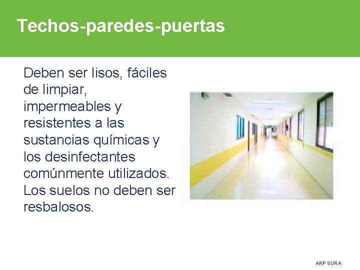 Techos-paredes-puertas Deben ser lisos, fáciles de limpiar, impermeables y resistentes a las sustancias químicas