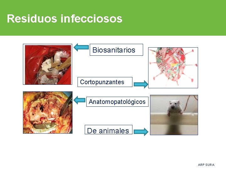 Residuos infecciosos Biosanitarios Cortopunzantes Anatomopatológicos De animales ARP SURA 