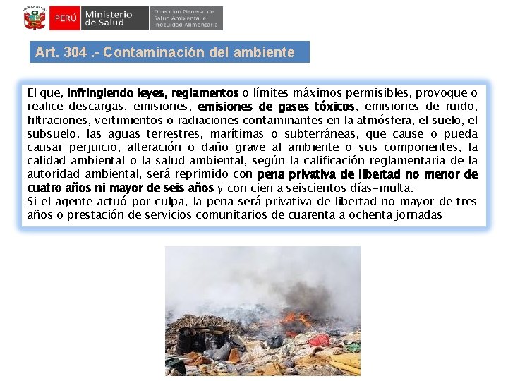 Art. 304. - Contaminación del ambiente El que, infringiendo leyes, reglamentos o límites máximos