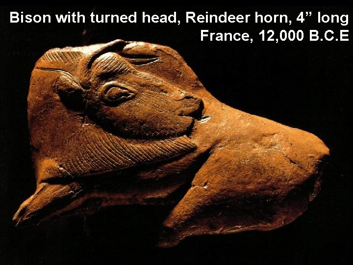 Bison with turned head, Reindeer horn, 4” long France, 12, 000 B. C. E