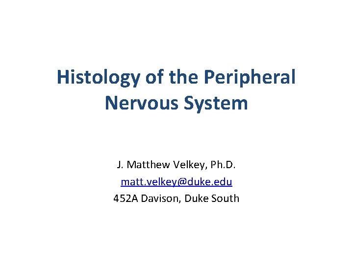 Histology of the Peripheral Nervous System J. Matthew Velkey, Ph. D. matt. velkey@duke. edu