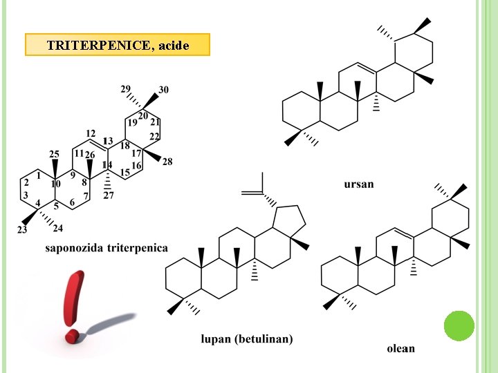 TRITERPENICE, acide 