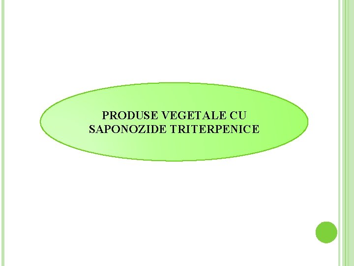 PRODUSE VEGETALE CU SAPONOZIDE TRITERPENICE 