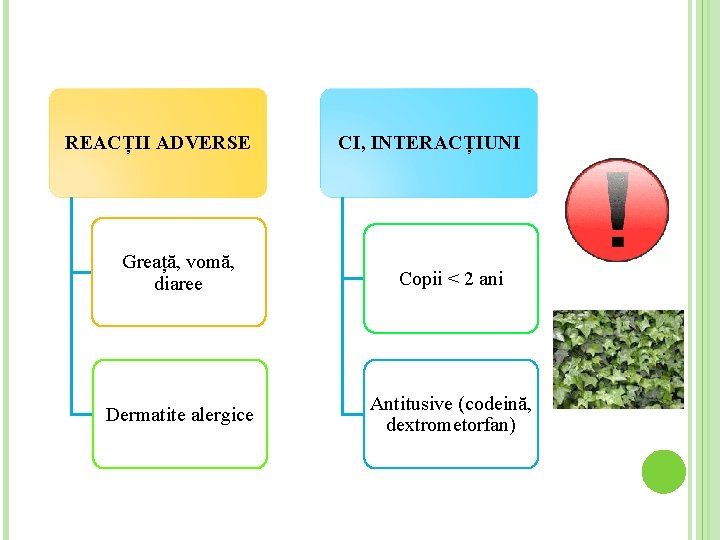 REACȚII ADVERSE CI, INTERACȚIUNI Greață, vomă, diaree Copii < 2 ani Dermatite alergice Antitusive