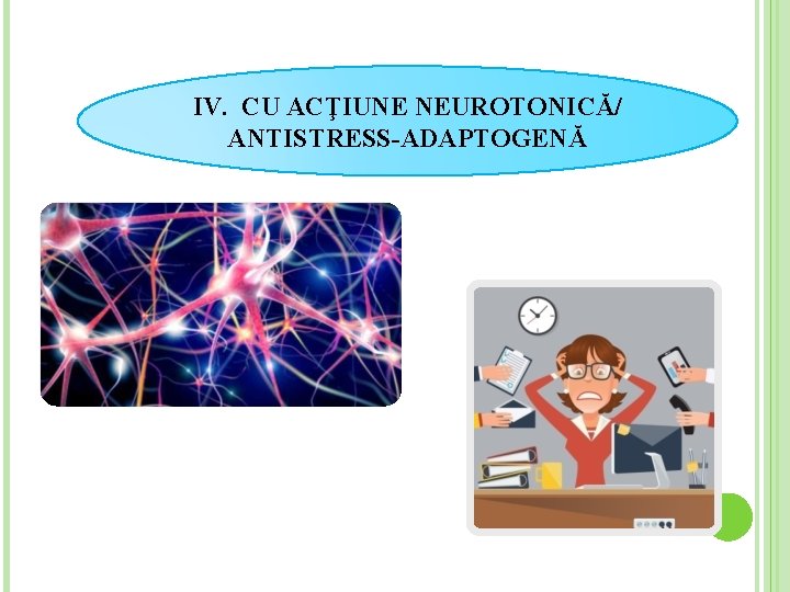 IV. CU ACŢIUNE NEUROTONICĂ/ ANTISTRESS-ADAPTOGENĂ 