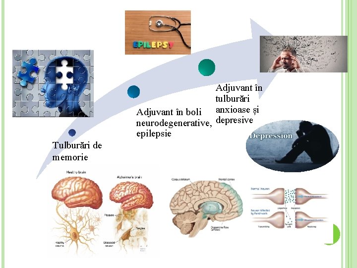 Adjuvant în tulburări Adjuvant în boli anxioase și neurodegenerative, depresive epilepsie Tulburări de memorie