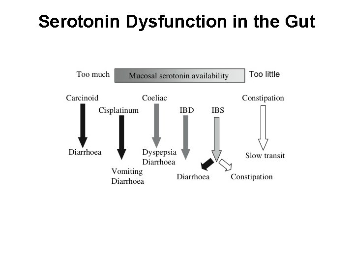 Serotonin Dysfunction in the Gut 
