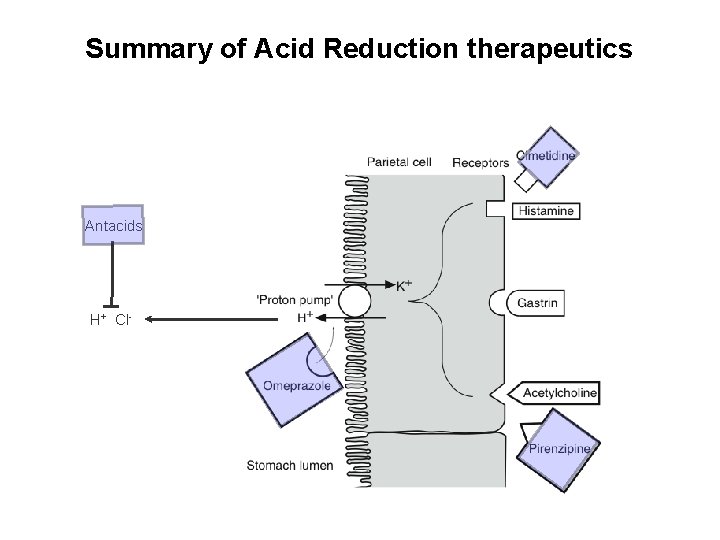 Summary of Acid Reduction therapeutics Antacids H+ Cl- 