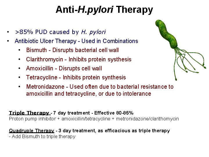 Anti-H. pylori Therapy • >85% PUD caused by H. pylori • Antibiotic Ulcer Therapy