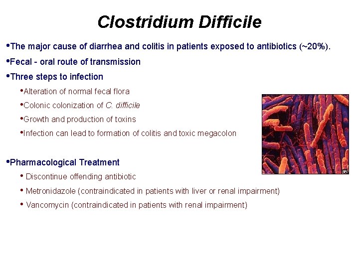 Clostridium Difficile • The major cause of diarrhea and colitis in patients exposed to