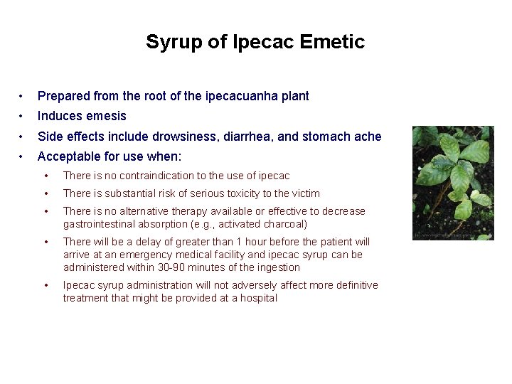 Syrup of Ipecac Emetic • Prepared from the root of the ipecacuanha plant •