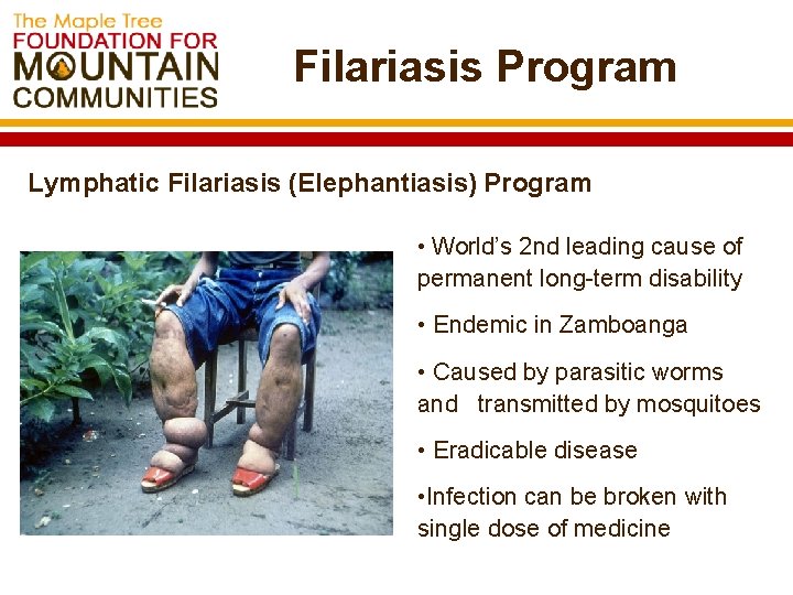 Filariasis Program Lymphatic Filariasis (Elephantiasis) Program • World’s 2 nd leading cause of permanent
