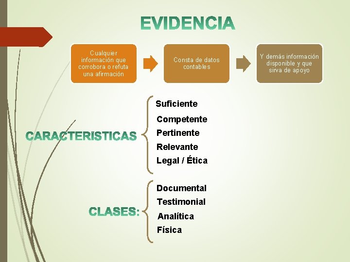 Cualquier información que corrobora o refuta una afirmación Consta de datos contables Suficiente Competente