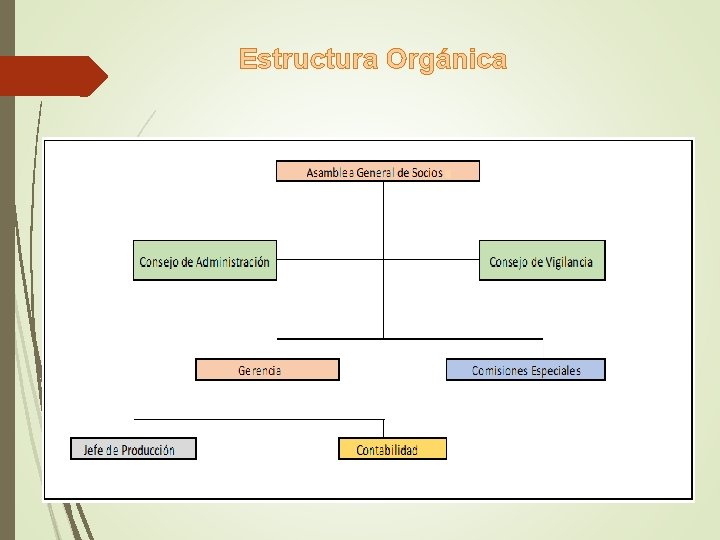 Estructura Orgánica 