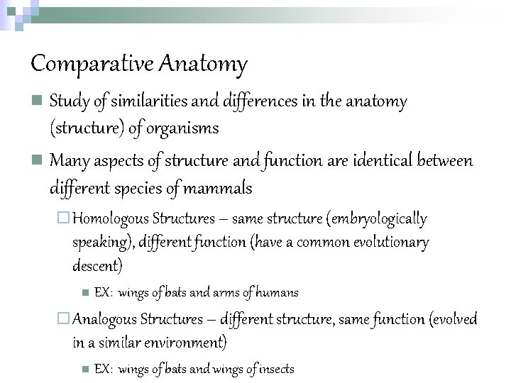 Comparative Anatomy n Study of similarities and differences in the anatomy (structure) of organisms