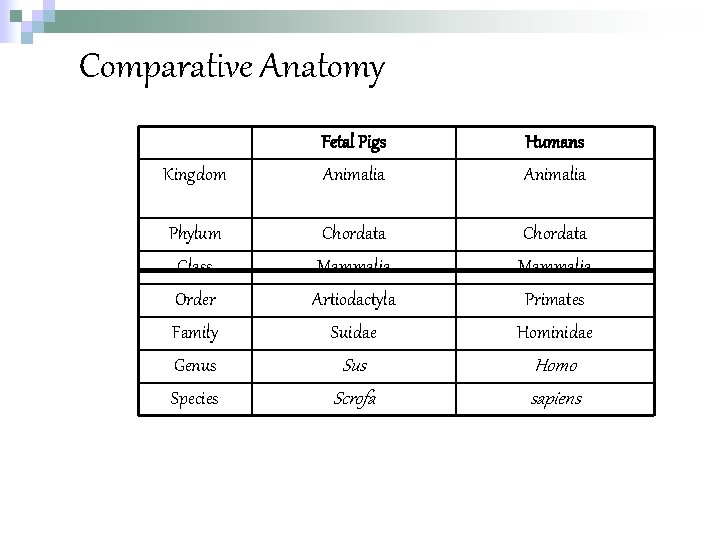Comparative Anatomy Kingdom Phylum Class Order Family Genus Species Fetal Pigs Animalia Humans Animalia
