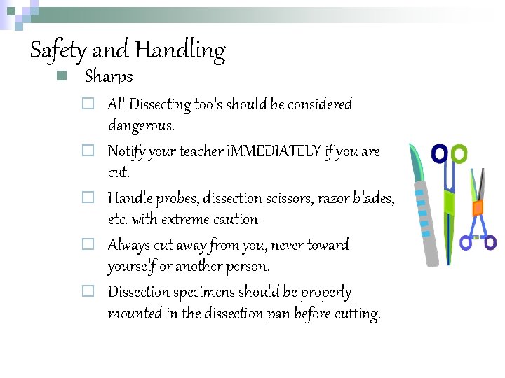 Safety and Handling n Sharps ¨ ¨ ¨ All Dissecting tools should be considered