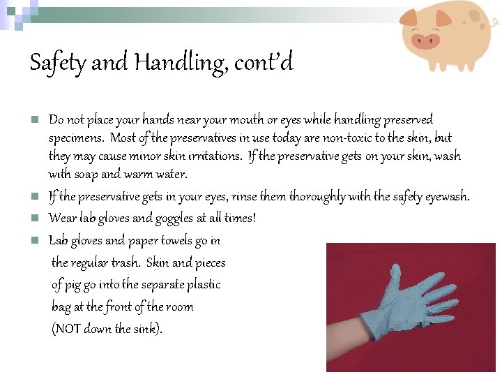 Safety and Handling, cont’d n n Do not place your hands near your mouth