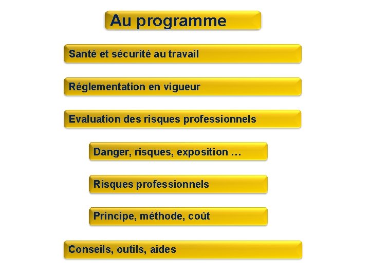 Au programme Santé et sécurité au travail Réglementation en vigueur Evaluation des risques professionnels