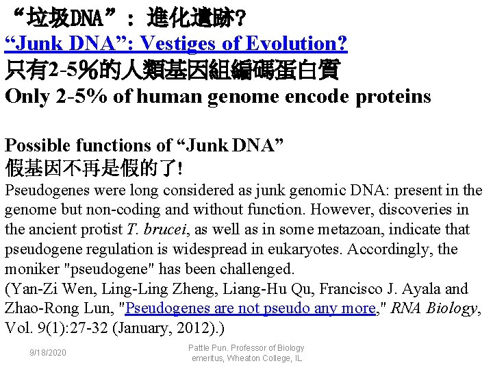 “垃圾DNA”: 進化遺跡? “Junk DNA”: Vestiges of Evolution? 只有2 -5％的人類基因組編碼蛋白質 Only 2 -5% of human