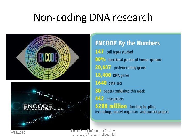 Non-coding DNA research 9/18/2020 Pattle Pun. Professor of Biology emeritus, Wheaton College, IL 