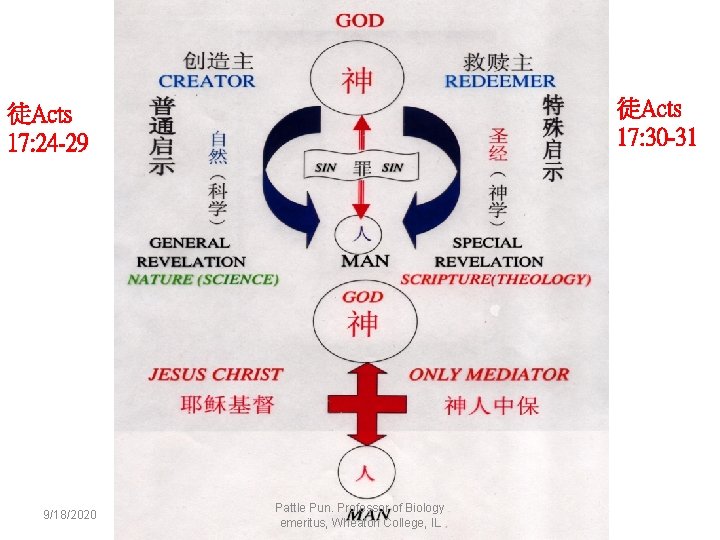 徒Acts 17: 30 -31 徒Acts 17: 24 -29 9/18/2020 Pattle Pun. Professor of Biology