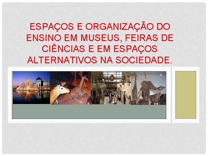 ESPAÇOS E ORGANIZAÇÃO DO ENSINO EM MUSEUS, FEIRAS DE CIÊNCIAS E EM ESPAÇOS ALTERNATIVOS