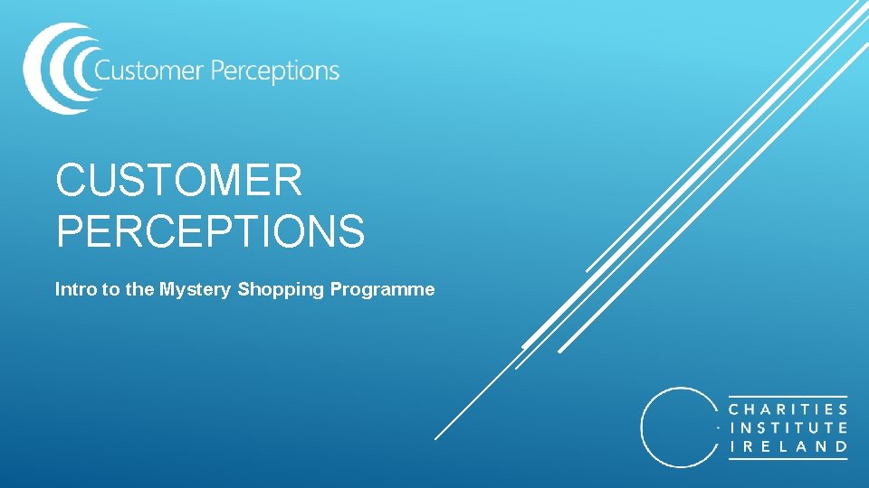 CUSTOMER PERCEPTIONS Intro to the Mystery Shopping Programme 