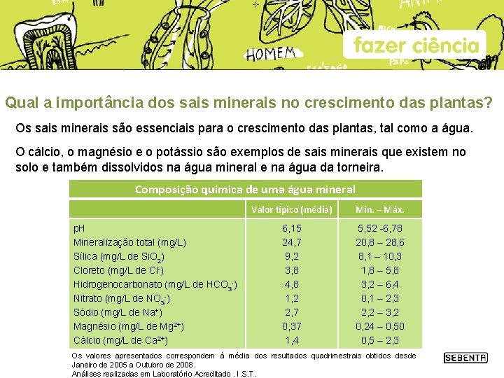 Qual a importância dos sais minerais no crescimento das plantas? Os sais minerais são Qual a importância dos sais minerais no crescimento das plantas? Os sais minerais são