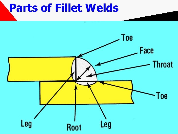 Parts of Fillet Welds 