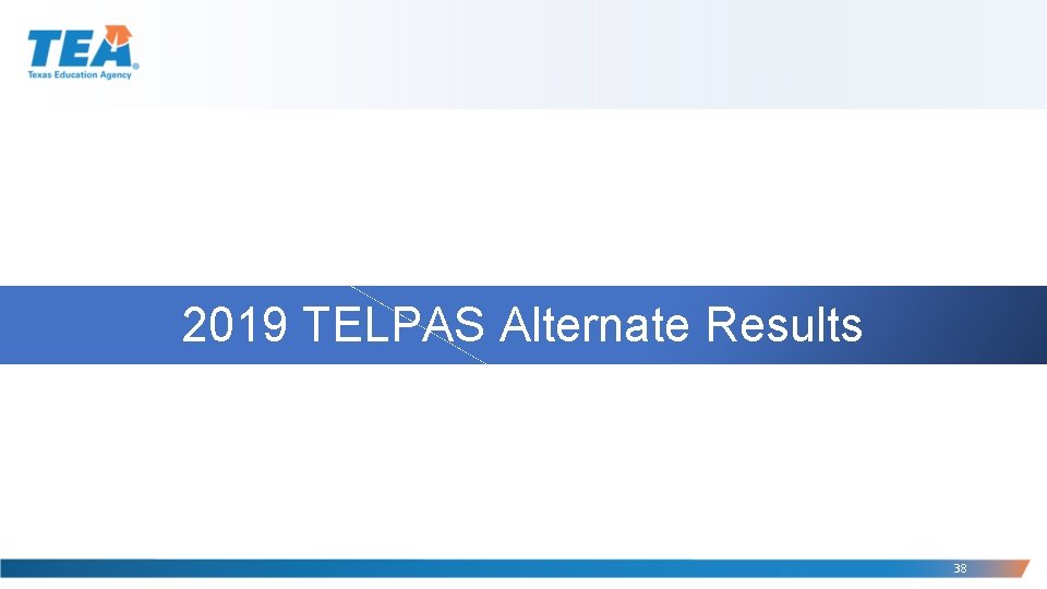 2019 TELPAS Alternate Results 38 