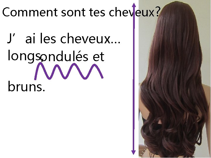 Comment sont tes cheveux? J’ai les cheveux… longs, ondulés et bruns. 