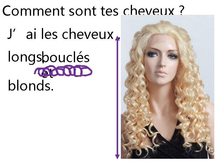 Comment sont tes cheveux ? J’ai les cheveux … longs, bouclés et blonds. 