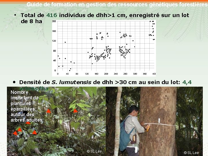 Guide de formation en gestion des ressources génétiques forestières • Total de 416 individus