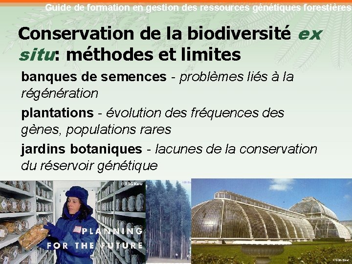 Guide de formation en gestion des ressources génétiques forestières Conservation de la biodiversité ex