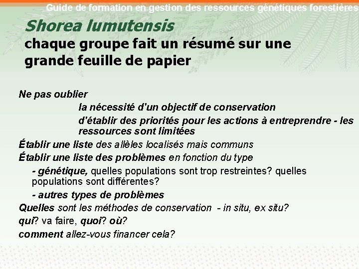 Guide de formation en gestion des ressources génétiques forestières Shorea lumutensis chaque groupe fait