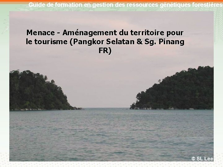 Guide de formation en gestion des ressources génétiques forestières Menace - Aménagement du territoire