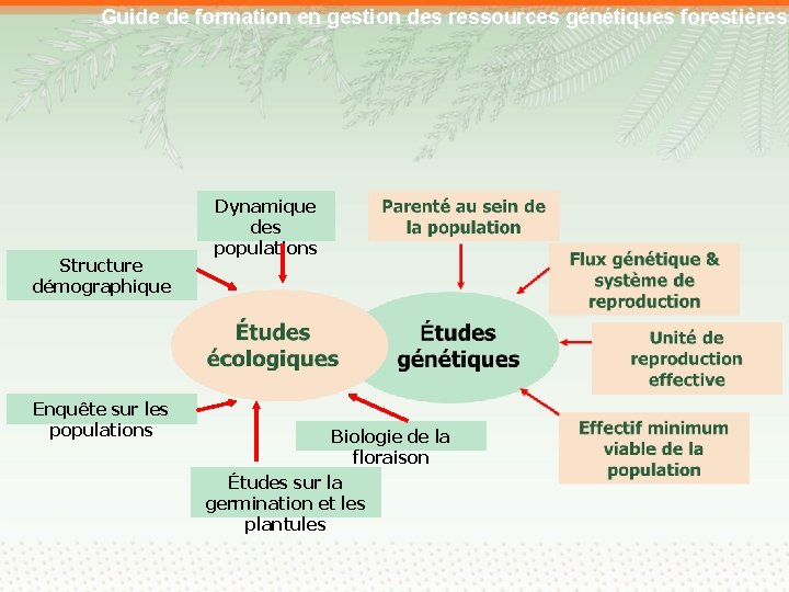 Guide de formation en gestion des ressources génétiques forestières Structure démographique Enquête sur les