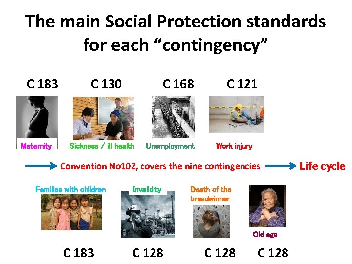 The main Social Protection standards for each “contingency” C 183 Maternity C 130 C