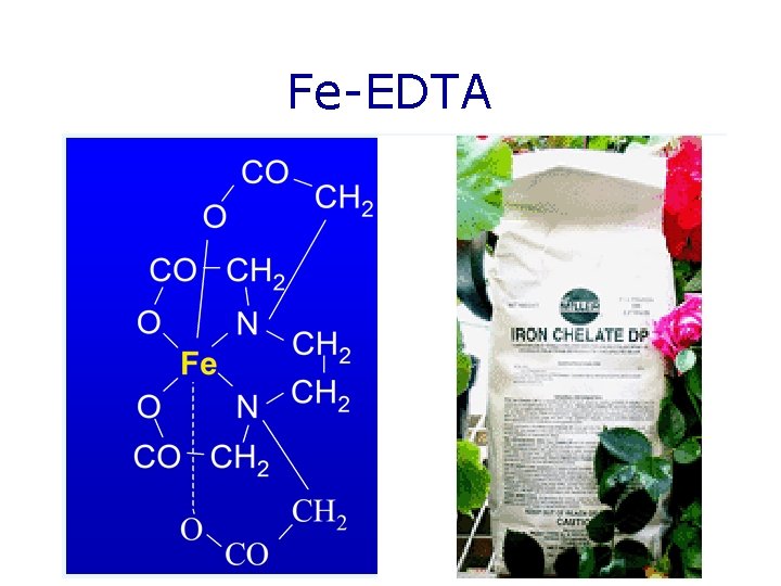 Fe-EDTA 