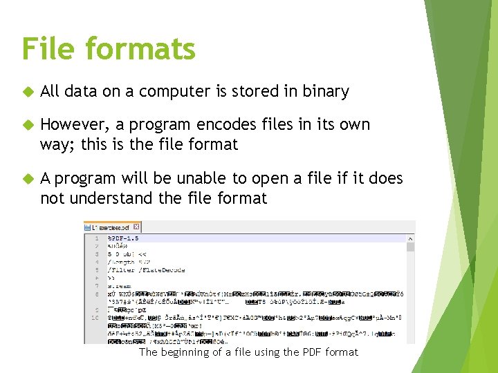 File formats All data on a computer is stored in binary However, a program