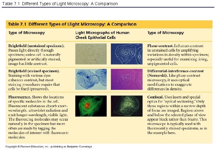 Table 7. 1 Different Types of Light Microscopy: A Comparison 