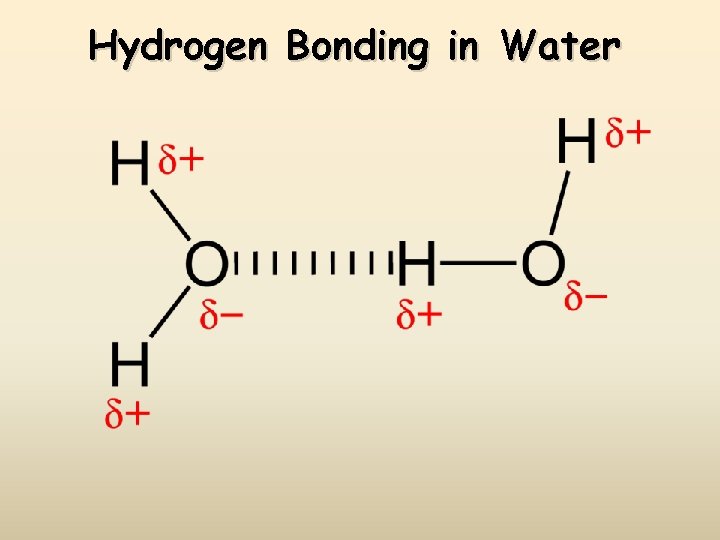Hydrogen Bonding in Water 