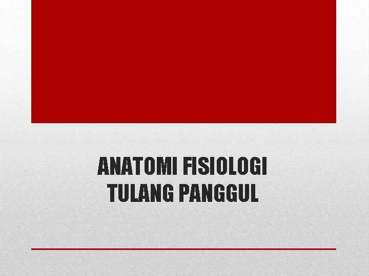ANATOMI FISIOLOGI TULANG PANGGUL ANATOMI FISIOLOGI TULANG PANGGUL