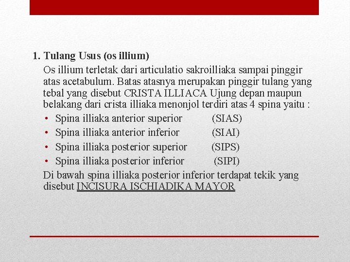 1. Tulang Usus (os illium) Os illium terletak dari articulatio sakroilliaka sampai pinggir atas 1. Tulang Usus (os illium) Os illium terletak dari articulatio sakroilliaka sampai pinggir atas