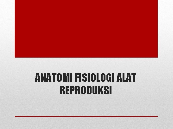 ANATOMI FISIOLOGI ALAT REPRODUKSI ANATOMI FISIOLOGI ALAT REPRODUKSI