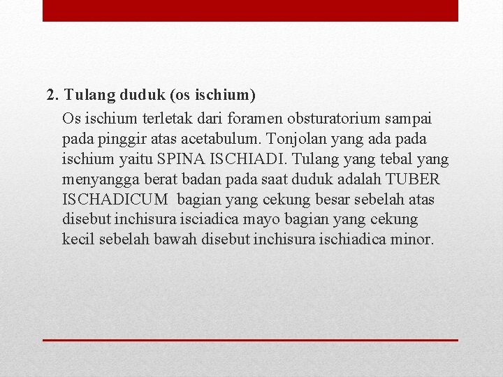 2. Tulang duduk (os ischium) Os ischium terletak dari foramen obsturatorium sampai pada pinggir 2. Tulang duduk (os ischium) Os ischium terletak dari foramen obsturatorium sampai pada pinggir