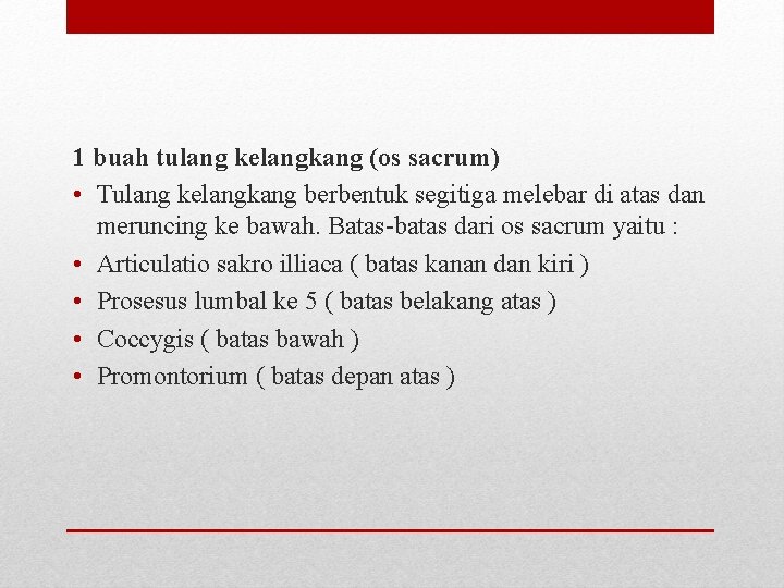 1 buah tulang kelangkang (os sacrum) • Tulang kelangkang berbentuk segitiga melebar di atas 1 buah tulang kelangkang (os sacrum) • Tulang kelangkang berbentuk segitiga melebar di atas